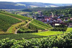 Tauberfranken profitiert also noch heute vom Bocksbeutelprivileg, muss aber auch als badisches Mitglied in der Weinbauzone B höhere Qualitätsansprüche erfüllen.