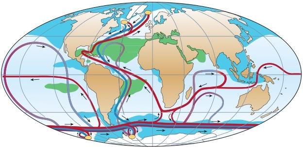 W Gulf str. N.A. Drift Antarctic circumpolar current http://www.