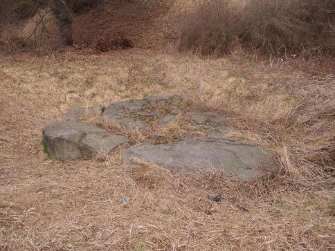 Tonnen schweres Naturdenkmal.