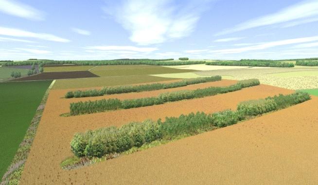 Grünland, Alternativen zum Mais, Produktionstechnik für das Substrat, Verbesserung