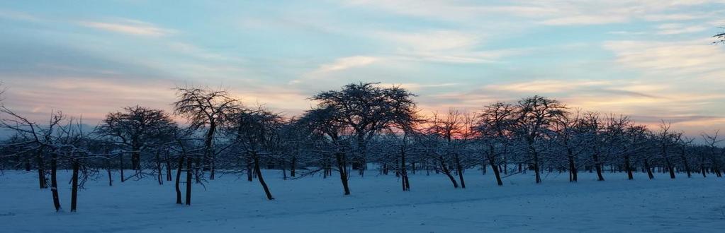 Newsletter Ausgabe vom 5. Februar 2017 Liebe Leserin, lieber Leser, Nach Schnee und Kälte sind die Temperaturen momentan kräftig gestiegen, doch noch ist der Winter nicht vorbei.