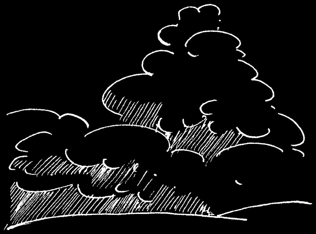 Wolkenbänke aus vielen kleinen Haufenwolken zeigen trockenes Wetter an