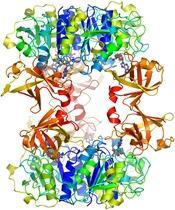 Enzym Fluorinase, das F - -Ionen in