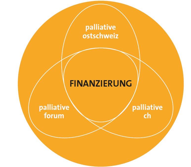 5 Finanzen a. Finanzen - Finanzierungsmöglichkeiten Die Finanzierungsmöglichkeiten von palliative ch, palliative ostschweiz und den Foren sind unterschiedlich.