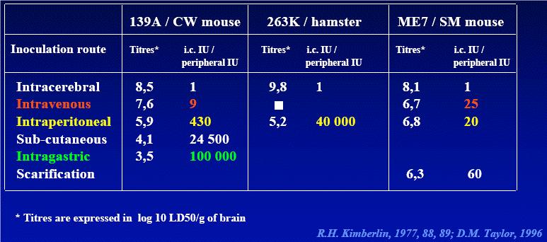 Prionen Infektiöse Dosis 10 10 LD 50 / g Gewebe (Feuchtgewicht) bei intracerebraler Übertragung im