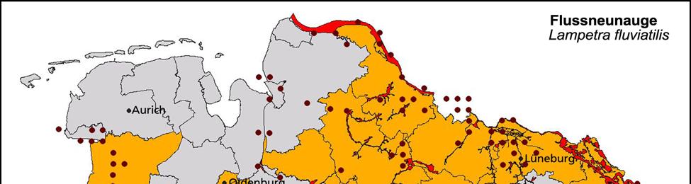 4.2 Gebiete für die Umsetzung mit Prioritätensetzung Gebiete mit höchster Priorität für die Umsetzung von Maßnahmen für das Flussneunauge liegen im Einzugsgebiet der Elbe (Landkreise