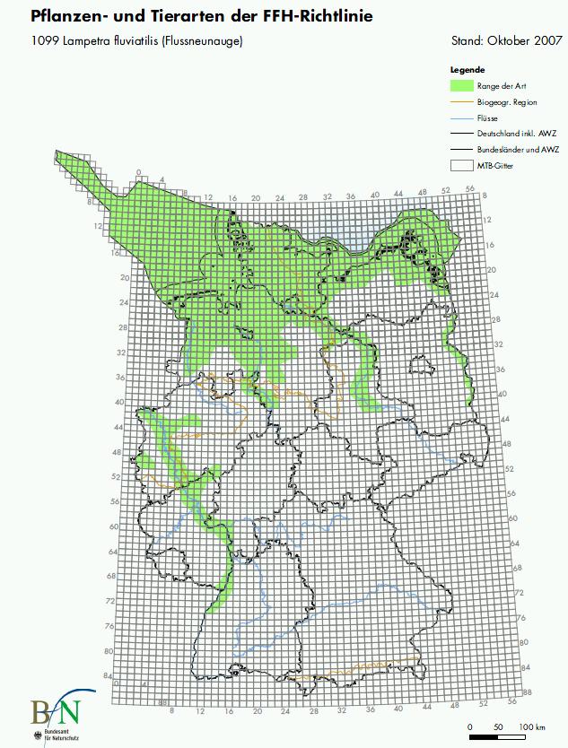 2.2 Bestandssituation in Deutschland Bundesweite Verbreitungsschwerpunkte des Flussneunauges im Binnenland sind die Flüsse Rhein, Elbe, Weser, Ems, und Oder sowie deren Nebengewässer.