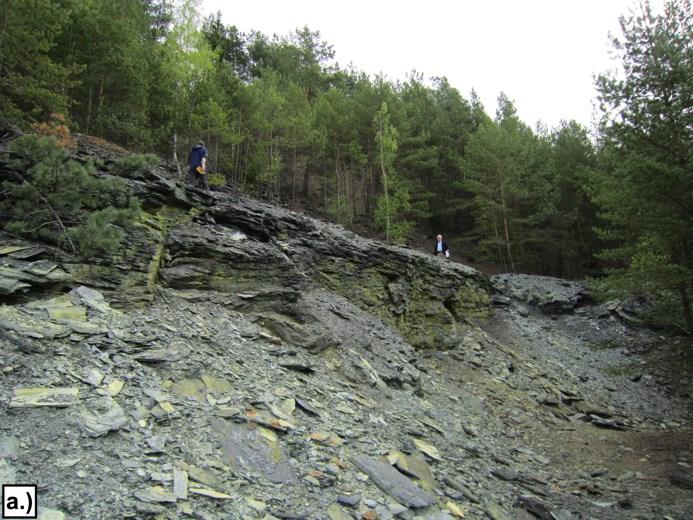 5. 1. 3 G r a f itschief e r Die Grafitschiefer sind im ehemaligen Bergbaugebiet aufgeschlossen und fallen durchschnittlich mit 30 nach Südwesten ein, was auch in etwa der Generalneigung des Hanges