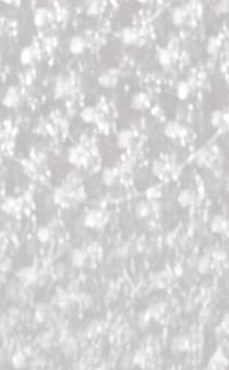 Polyester 130-762 Slip mit Eingriff weiß sortiert Farbe 09 hellblau sortiert Farbe 68 natur sortiert Größe 5 9 131-762