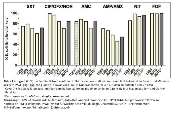 Antibiotikaresistenzen von E.
