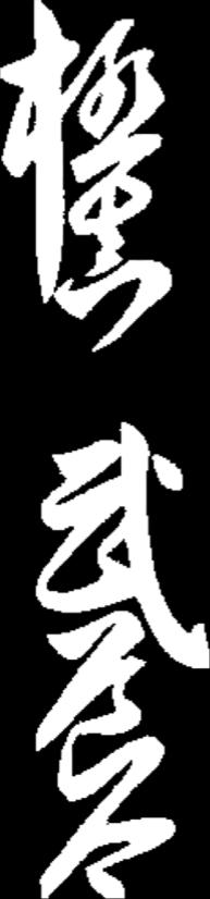 Die eiserne Disziplin, das Engagement und die Geduld sind ausschlaggebend für den Erfolg im Kyokushinkai Karate sowie im Tatsu Ryu Karate Do.