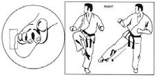 YUISHINKAN Goju-Ryu Karate Wichtige Techniken