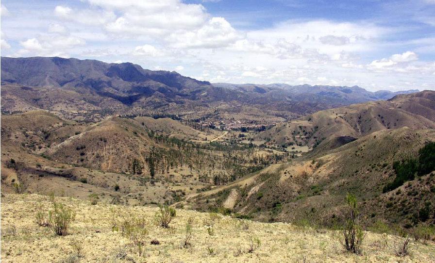 Blick nach Zudañez von einem Hügel südlich des Cerro Ayrampo neben der Typform mit grünlich-violetter Epidermis und kurzen, schwarzen Dornen, auch Formen mit rein grüner Epidermis in allen möglichen