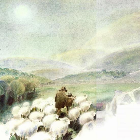 So schickte er die Hirten Jakob und Simon auf eine höher gelegene Wiese. Dort, über dem Nebel, sollten sie die Schafe weiden. Simon drängte sich an Jakob. Im dichten Nebel war es ihm unheimlich.