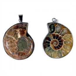 Abmessungen: 3.5 cm Ammonit Schöner Ammonitenanhänger mit Halskette Rosenquarz Artikelnummer: 5985 Abmessungen: 45 cm Halskette - Rosenquarz Der Rosenquarz verbreitet Sachtheit.