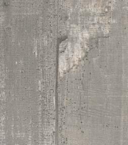 Raw Concrete Grey F 985