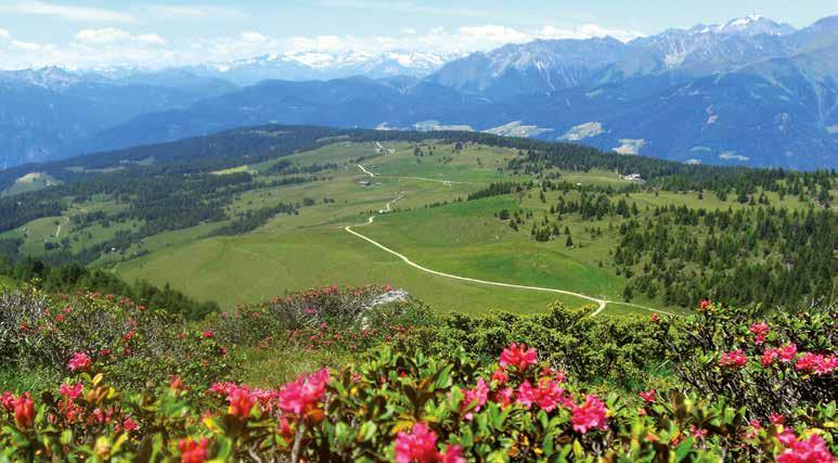 emozionanti. Hiking The holiday region Plan de Corones and the entire Pusteria Valley are a paradise for hikers and nature lovers!