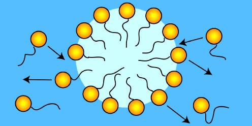 Mizellbildung S k τ k m 1 = 2 + σ N m k k + n S n S + 1 n n N: Aggregationszahl k - :