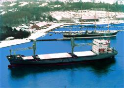 Schiffsbeteiligung 11 - MS "SIRIUS" 1) Schiffstyp: Containerschiff Investition und Kapital in Mio.