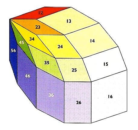 Hyperbox Oberfläche eines dreidimensionalen Polytops wird gezeichnet Sichtbare Polygone bestehen aus Vierecken, die genau allen auftretenden Attributpaaren entsprechen Weitere Attribute können