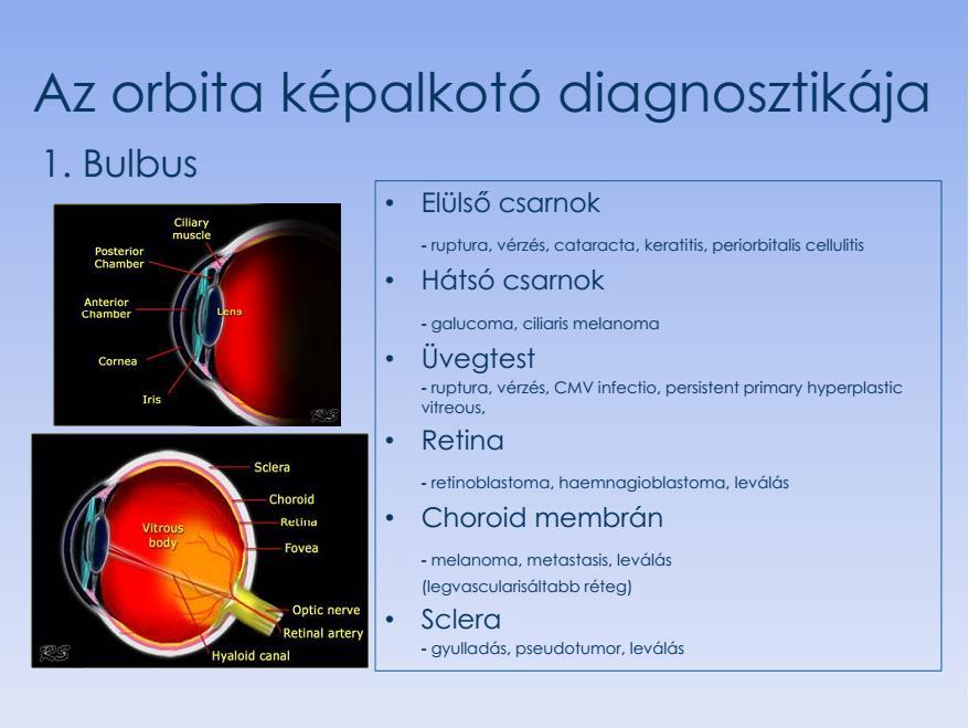 Bildegebendes Verfahren für orbita Diagnostik : 1.