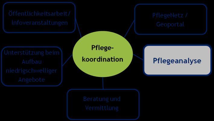 Pflegeanalyse umfangreiche Befragungen im Landkreis: zur Erfassung der Situation der