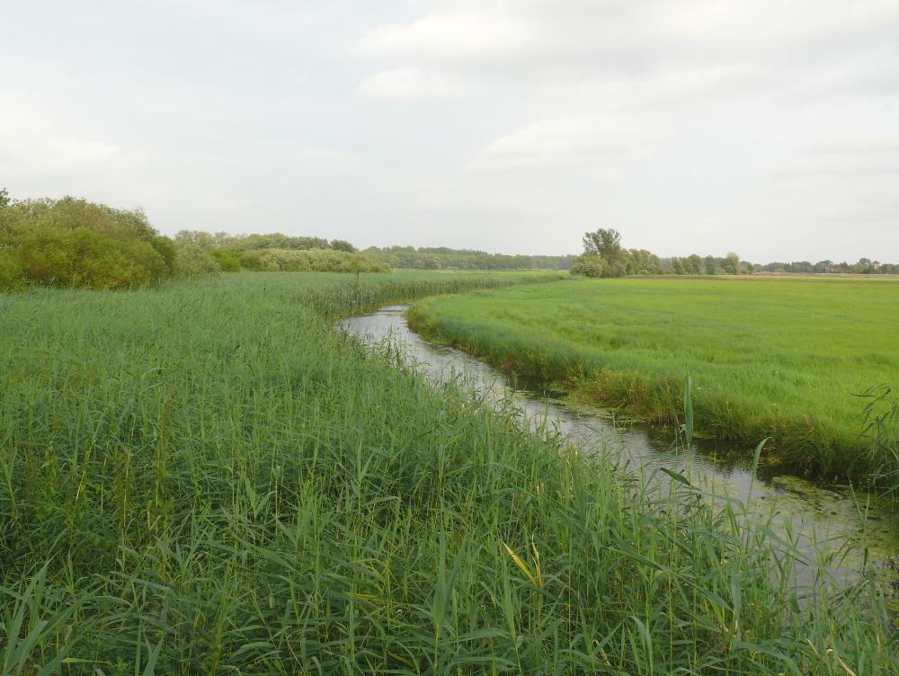 Über einen kleinen Abstecher von der Route zu