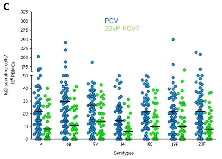 Impfung gegen Pneumokokken: konjugiert oder Polysaccharid?? wirkt PPV 23 überhaupt (Erwachsene)?