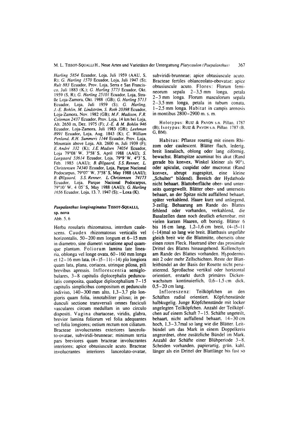 M. L. TISSOT-SQUALL1 H., Neue Arten und Varietaten der Untergattung Playcardon (Pnepalanrhus I 367 Hurling 5854 Ecuador, Loja. Juli 1959 (AAU, S, R): G.