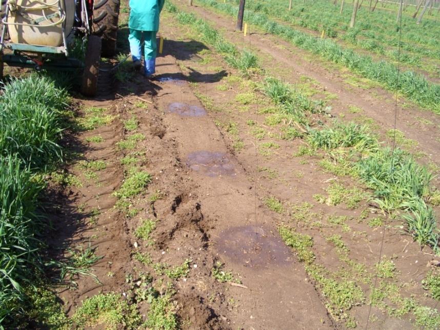 Bodenschädlinge Lösungsmöglichkeiten Anwendung im Frühjahr gezielt auf geschnittenen Stock als Gießbehandlung - keine Tracht von Untersaaten - keine