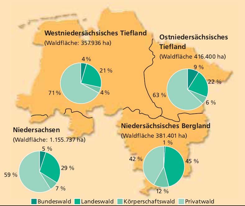 Waldbesitzartenverteilung in Niedersachsen Quelle: Der Wald in Niedersachsen; Niedersächsisches Ministerium