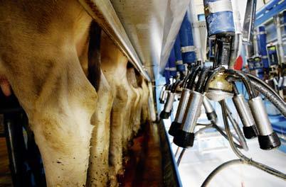 Eine absatzorientierte Milchmenge ist eine der grössten Herausforderungen der Branche. Die Politik hält an der Milchmarktliberalisierung fest.