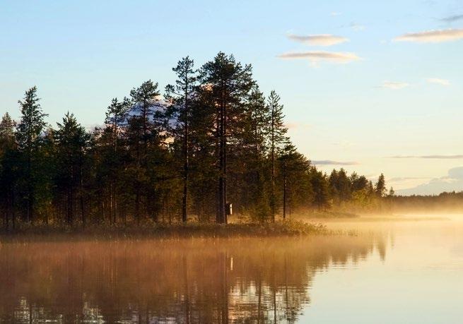 Danach geht es mit dem Bus nach Hämeenlinna, wo wir einen Spaziergang im herrlichen Aulanko-Naturreservat unternehmen.