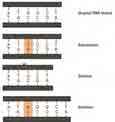 Classification of Mutations by Effect on Structure 1. Genome mutations Numerical change of the whole chromosome set (e.g. triploidy (3n), tetraploidy (4n)) Numerical change of a single chromosome (e.