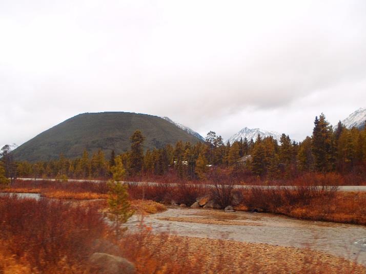 Das Jagdgebiet liegt im äußersten Nordwesten von B. C.! Die Jagdzeit auf Schneeziege ist im August und im frühen September.