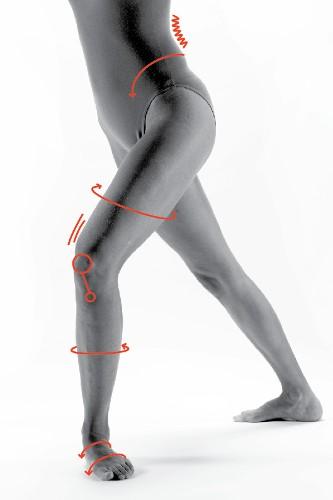 Die gerade Beinachse wird durch eine Leitmuskelkette koordiniert. Sie gewährleistet die Drehrichtung im Ober- und Unterschenkel und garantiert Stabilität und Gleichgewicht im Bein. Abb.