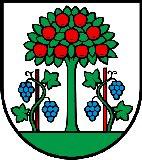 Magden Magden ist eine Einwohnergemeinde im Bezirk Rheinfelden des Schweizer Kantons Aargau.