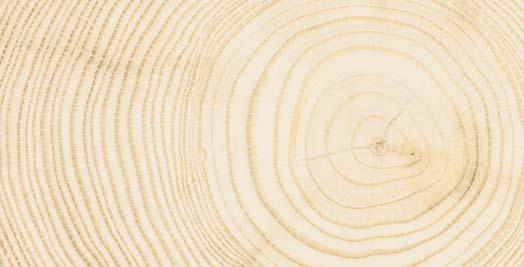 Holz passt sich permanent mit seinem Feuchtegehalt dem Klima der Umgebung an jeweils abhängig von der relativen