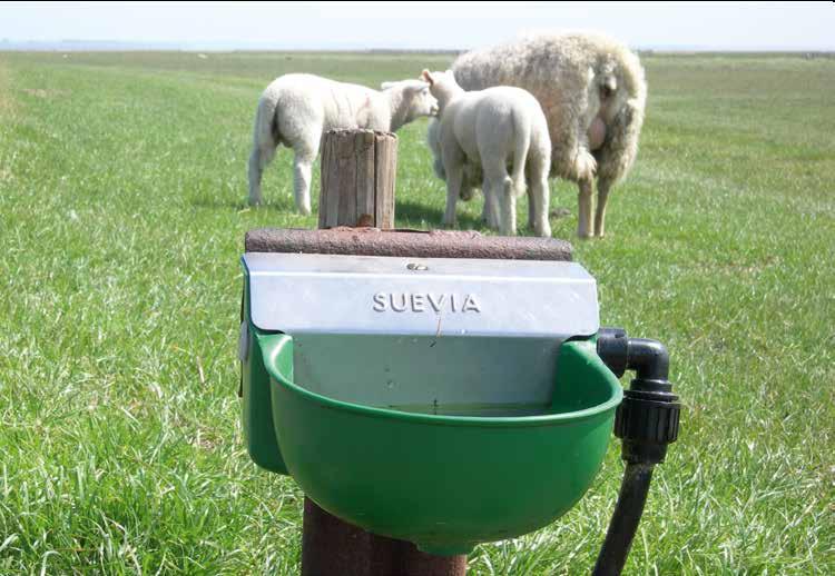 TRÄNKEBECKEN FÜR SCHAFE UND ZIEGEN Tränkebecken für Schafe und Ziegen Nachfolgend wollen wir Ihnen einen Einblick in das SUEVIA Tränkeprogramm für Schafe und Ziegen geben.