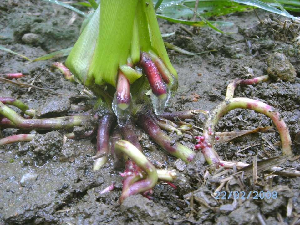 Naturland-Seminar Bodenfruchtbarkeit 07.10.