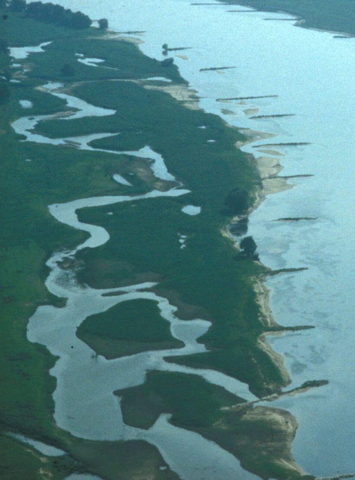 Uferstrukturen Schaffung und Erzeugung von unterschiedlichen Mikrohabitaten die die als Aufwuchs- und Ruhehabitate dienen: Kolkstrukturen mit steilen Ufern flache strömungsberuhigte