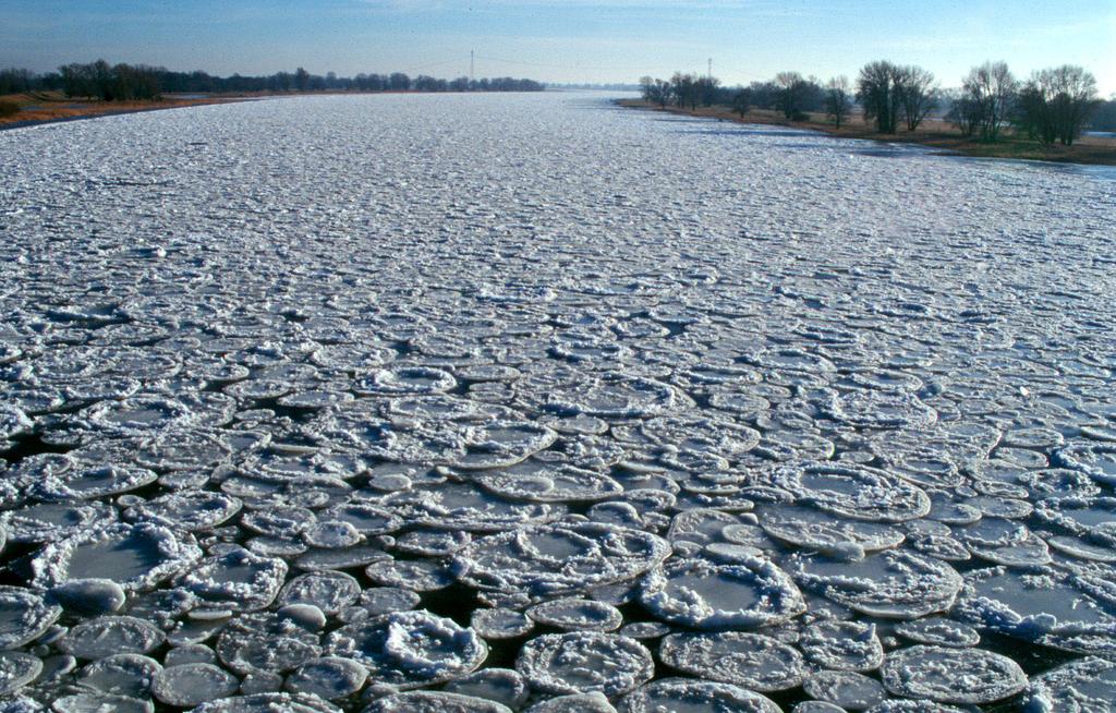 Winterhabitate adulter Fische Wfl-Gründling Hasel Döbel Gründling Aland Rapfen Ukelei Kaulbarsch Zander Plötze Hecht Brasse Güster Flussbarsch Zope Steinbeißer Rotfeder Karausche Buhnenfelder