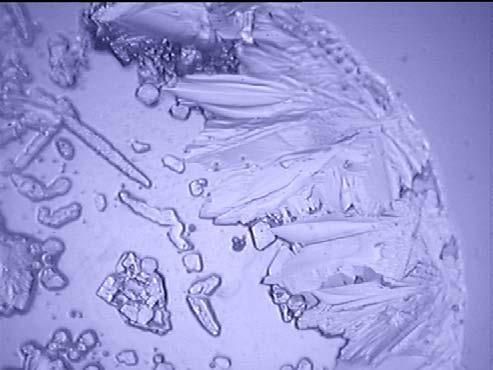 3. Großbild 400-fache Vergrößerung Probe: Wasser Bambergen neutral Pejosan Petit 09 Im Großbild wird die Struktur eines Kristalls zum Bildrand hin dargestellt.