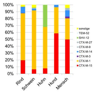 Selektionsdruck auch bei fachgerechter Therapie Zielkeim Krankheitserreger Darmkeime z.b. E. coli, Enterococcus spp Hautkeime schützen die Haut Umweltkeime Mehrfachresistenz E.