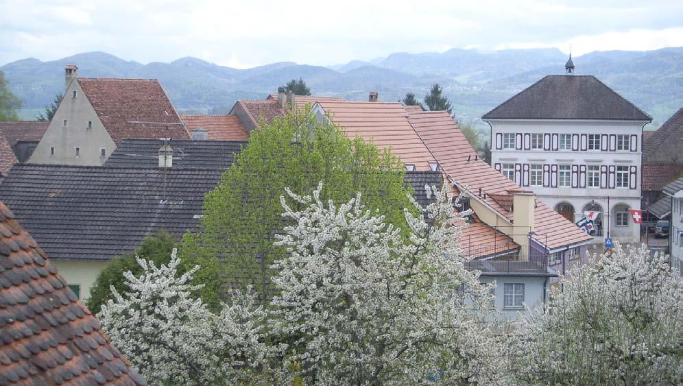 Bewilligungspraxis von Solaranlagen im Kanton Basel-Landschaft Vernehmlassung