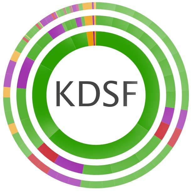 KDSF als Grundlage für Datenbasis Die Forschungsinformationen sollen die Bereiche des Kerndatensatz Forschung (KDSF) abdecken: - Beschäftigte - Nachwuchsförderung Doktoranden Abgeschlossene