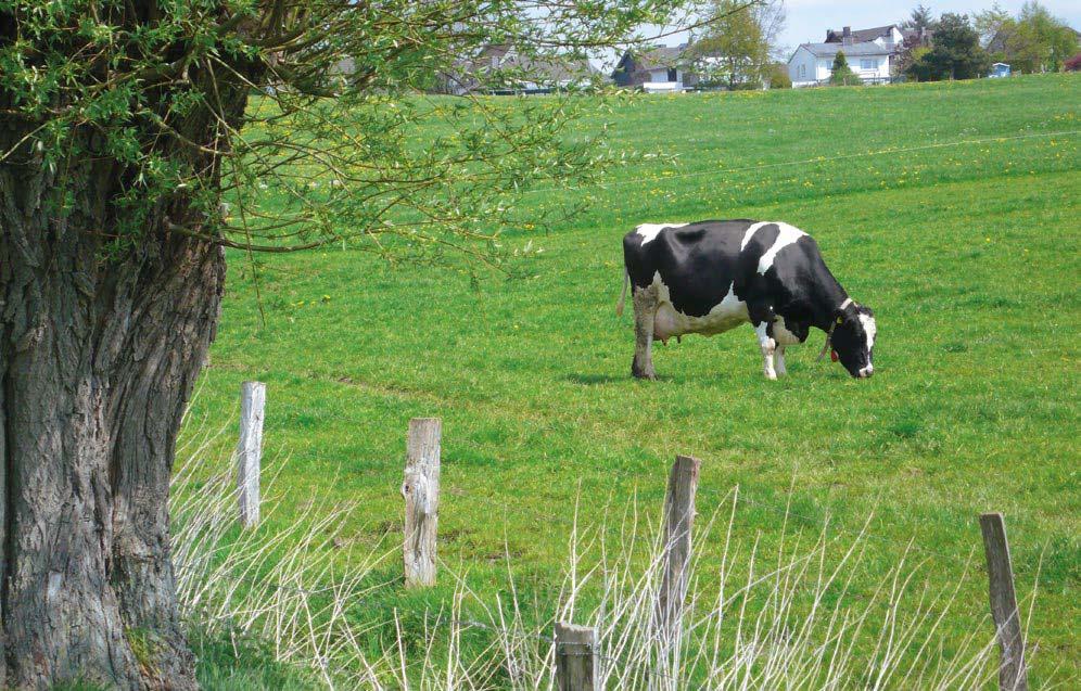 Landwirtschaft Die Landwirtschaft ist eine tragende Säule der ländlichen Regionen in Nordrhein- Westfalen. Etwa die Hälfte der Landesfläche wird landwirtschaftlich genutzt.