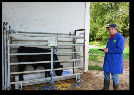 Milchleistungsprüfung 9 jährliche Betriebsbesuche Kühe, Schafe, Ziegen Erfassung