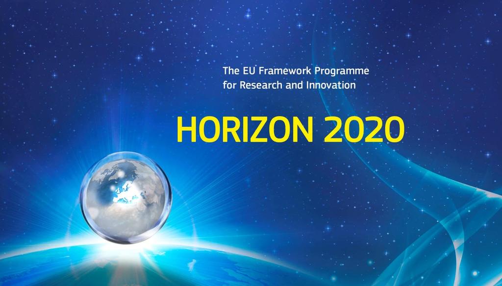 Programm Horizont 2020 Muster-Einzelvereinbarung mit einem Partner für