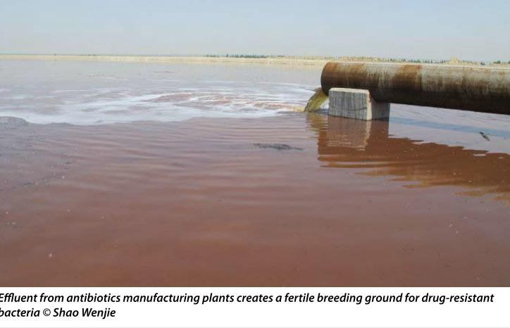 Gewässerbelastung am Produktionsstandort Extreme Antibiotika-Belastungen von